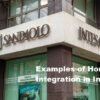 Examples of Horizontal Integration in Industry